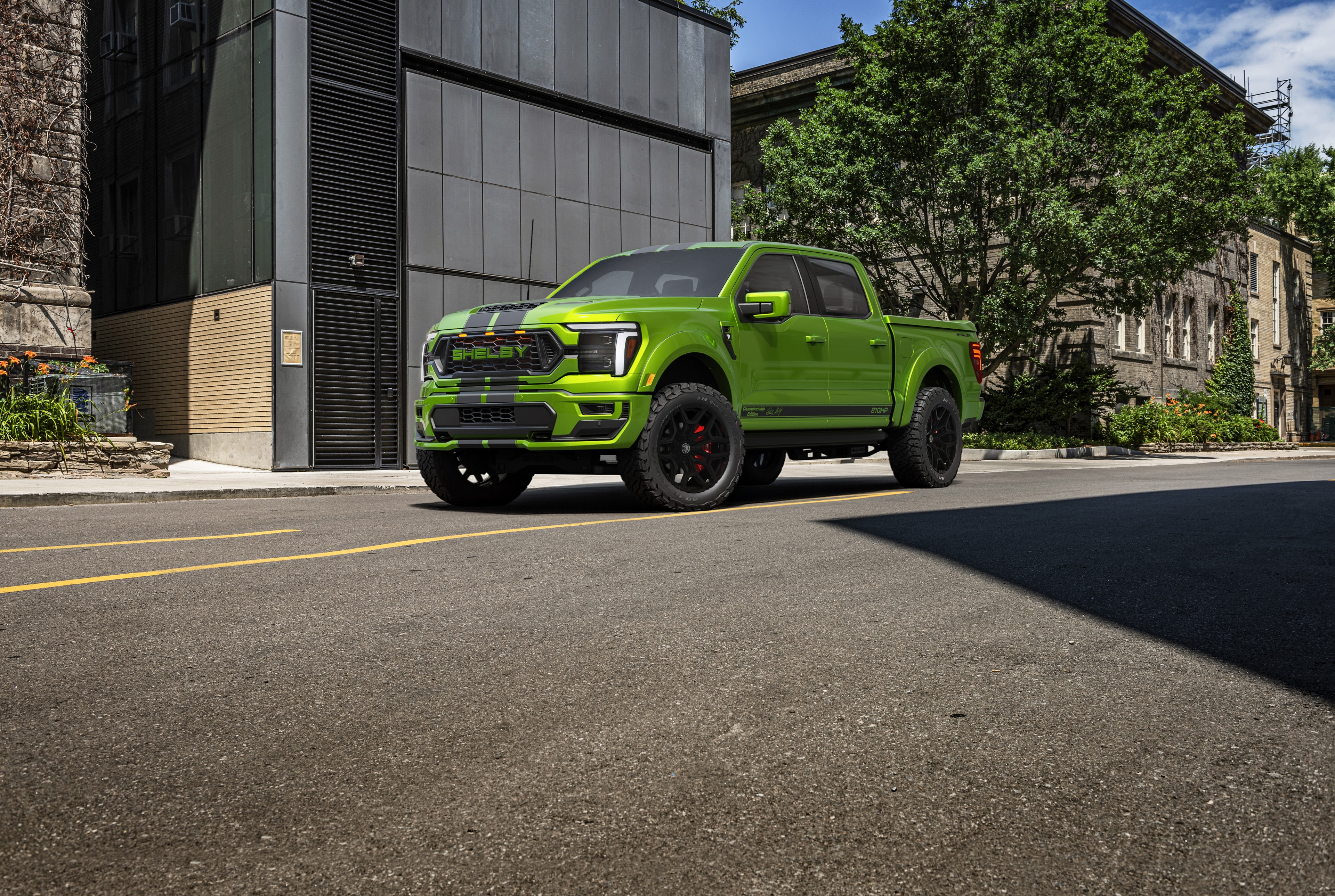 Shelby F-150 Super Snake Championship Edition