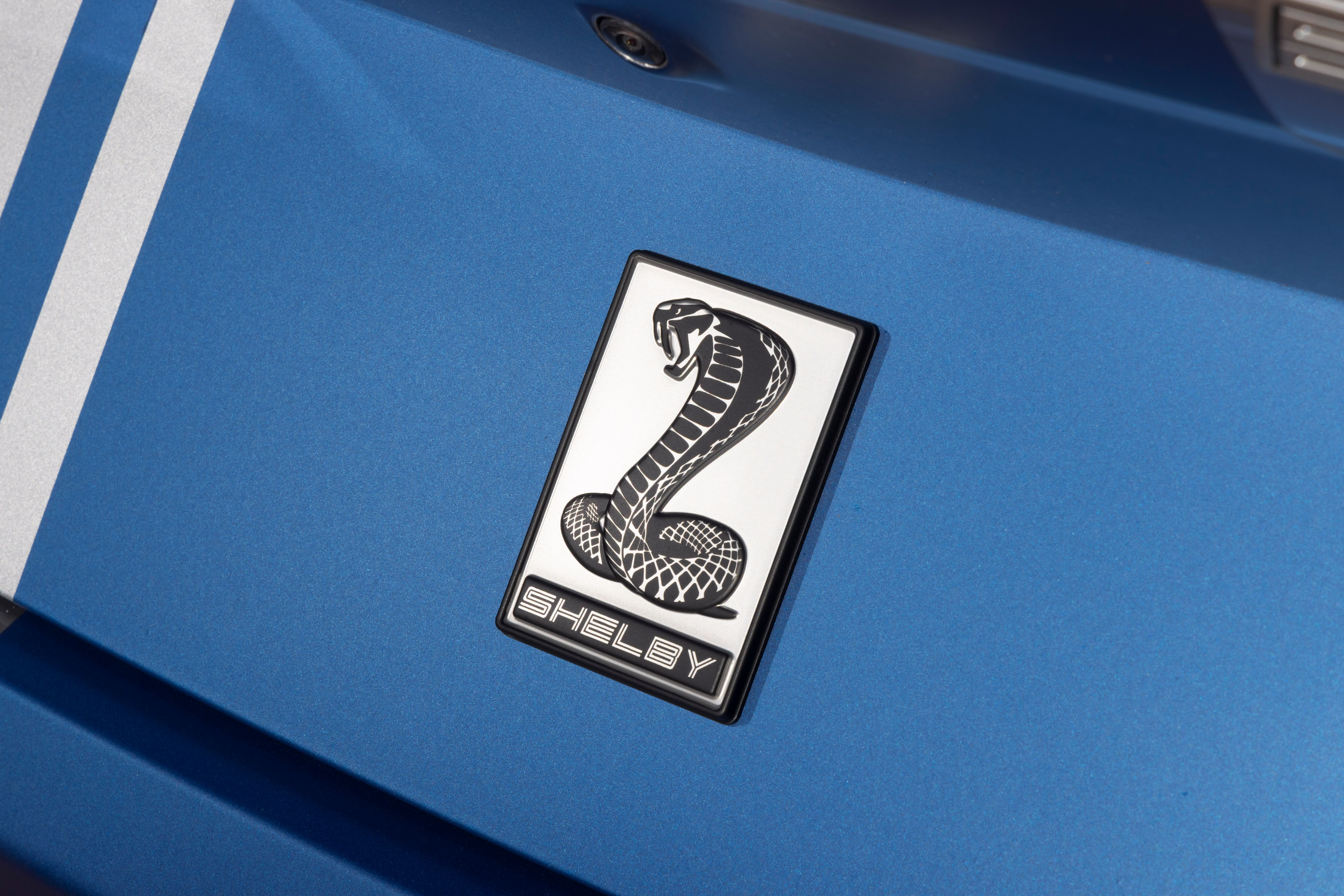 Shelby cobra badge on Super Snake