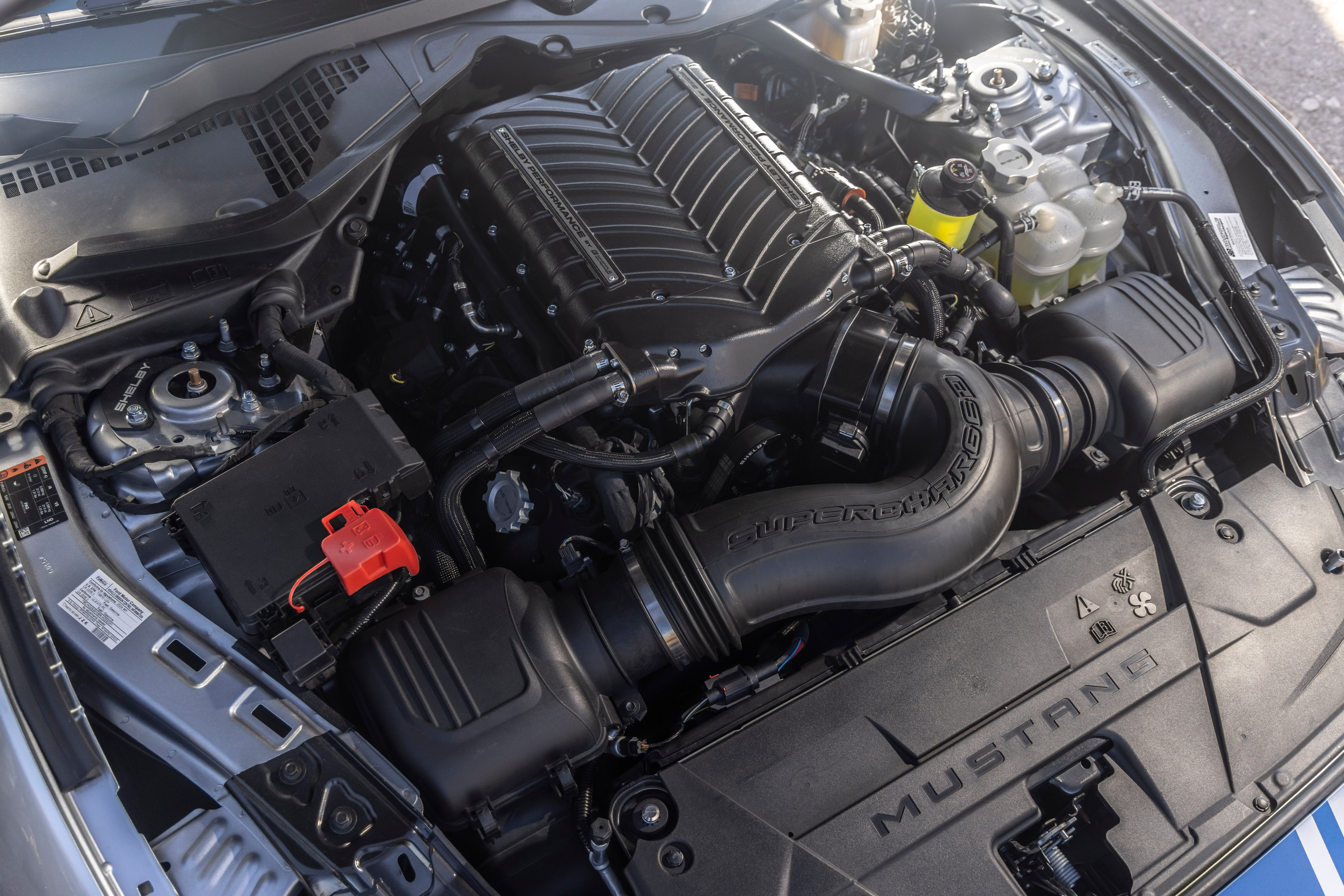 810+ HP WHIPPLE CHARGED