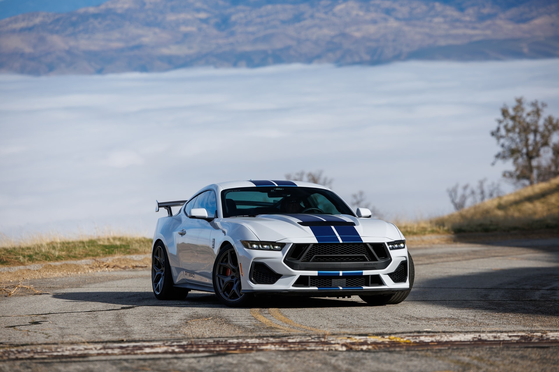 2026 Shelby Super Snake